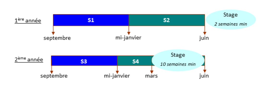 organisation_formation organisation_formation